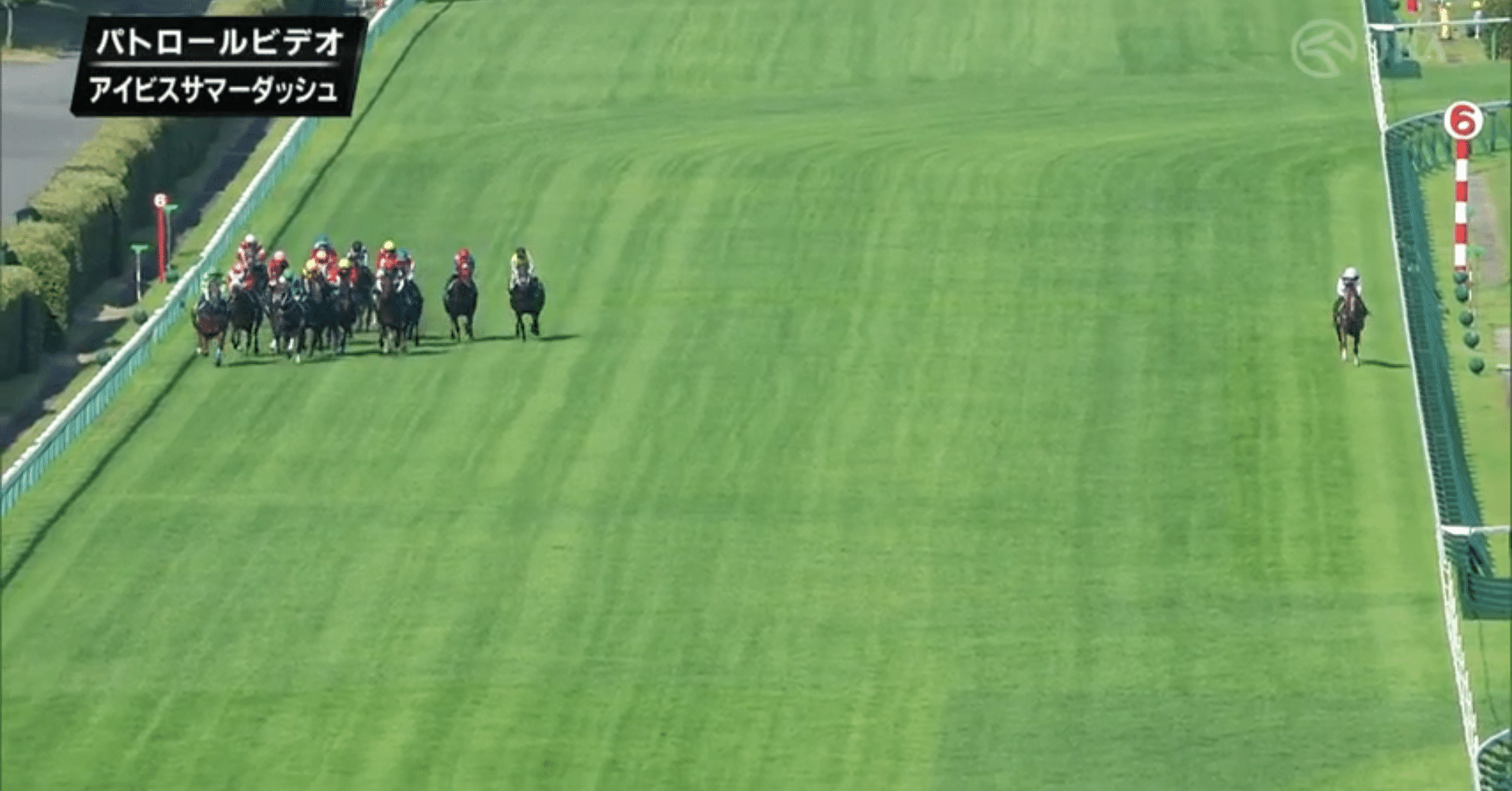 アイビスサマーダッシュを振り返る～奇跡的に条件が揃い嵌まった奇襲