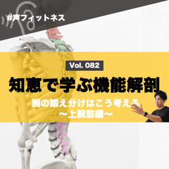 【♯82 知恵で学ぶ機能解剖〜上腕筋編〜】