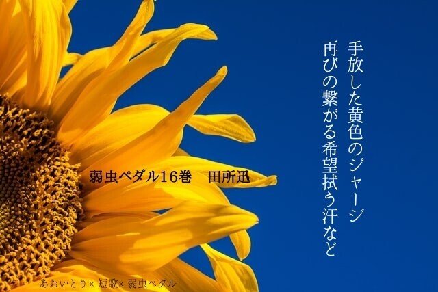 短歌 弱虫ペダル16巻 マユミ Note