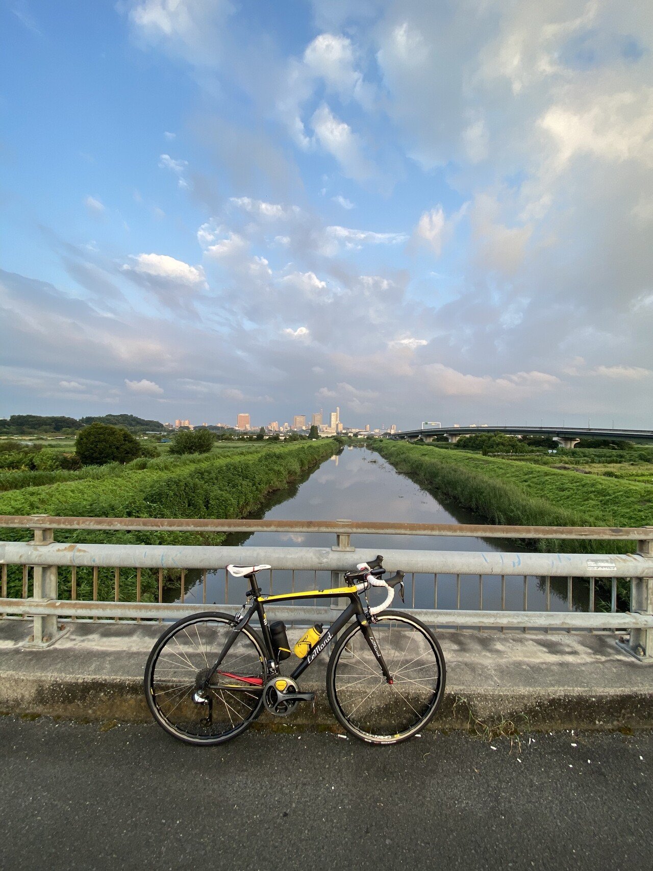 ひまわり畑🌻探索ポタリング|西川正治|note