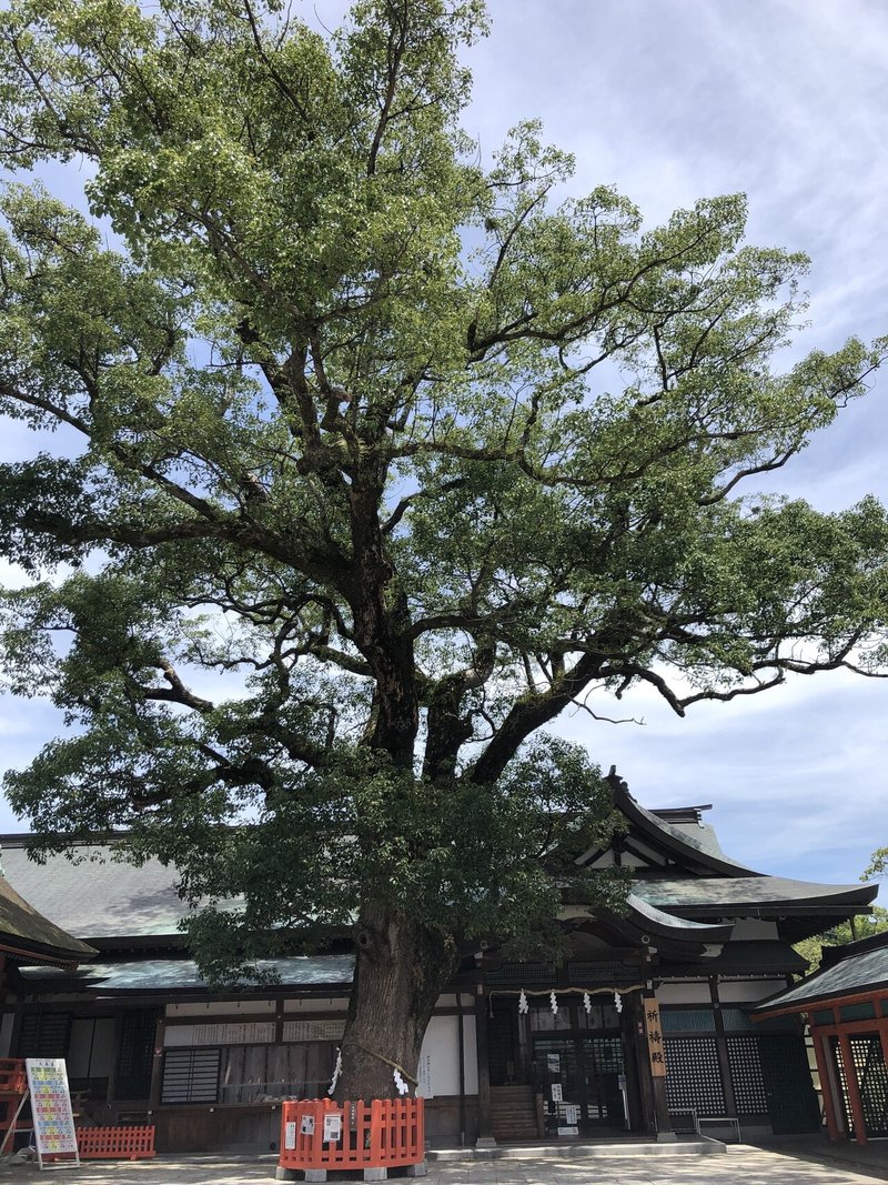 宇佐神宮 オモテウラ探検隊 Note 宇佐神宮 オモテウラ探検隊 Note