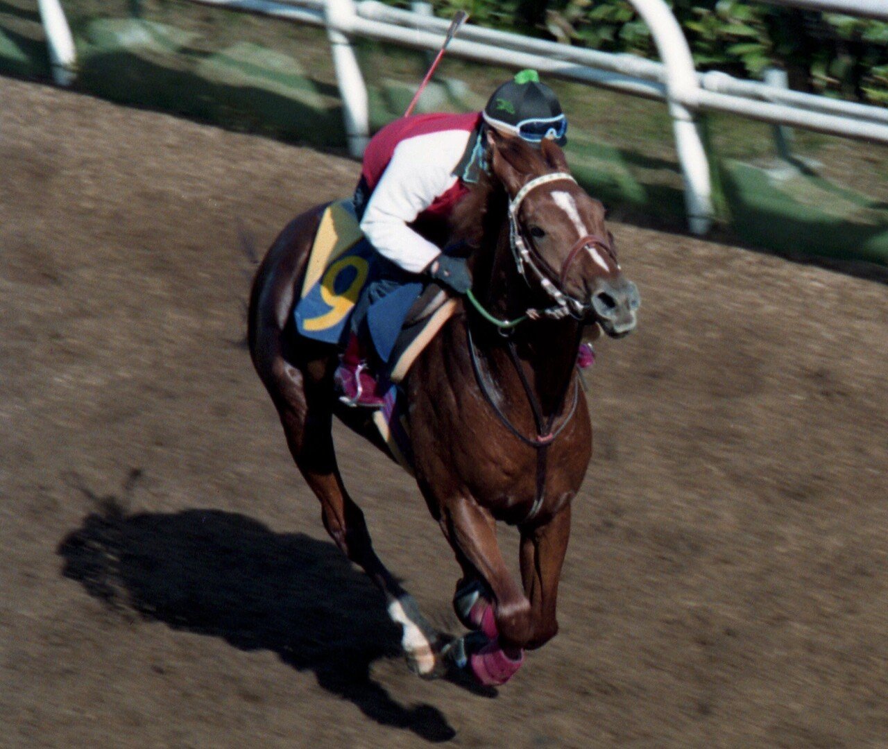 ウマ娘」のサイボーグはバルセロナ五輪の年の二冠馬！スパルタで常識を