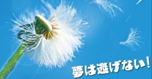 未来とは 21ジェフユナイテッド千葉選手別中間報告mf Fw編 夢とは Tkq Note