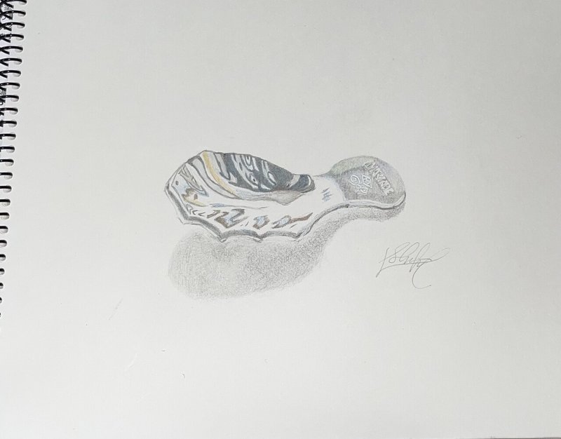 色鉛筆画 金属光沢の難しさ しゅほう Note 色鉛筆画 金属光沢の難しさ しゅほう Note