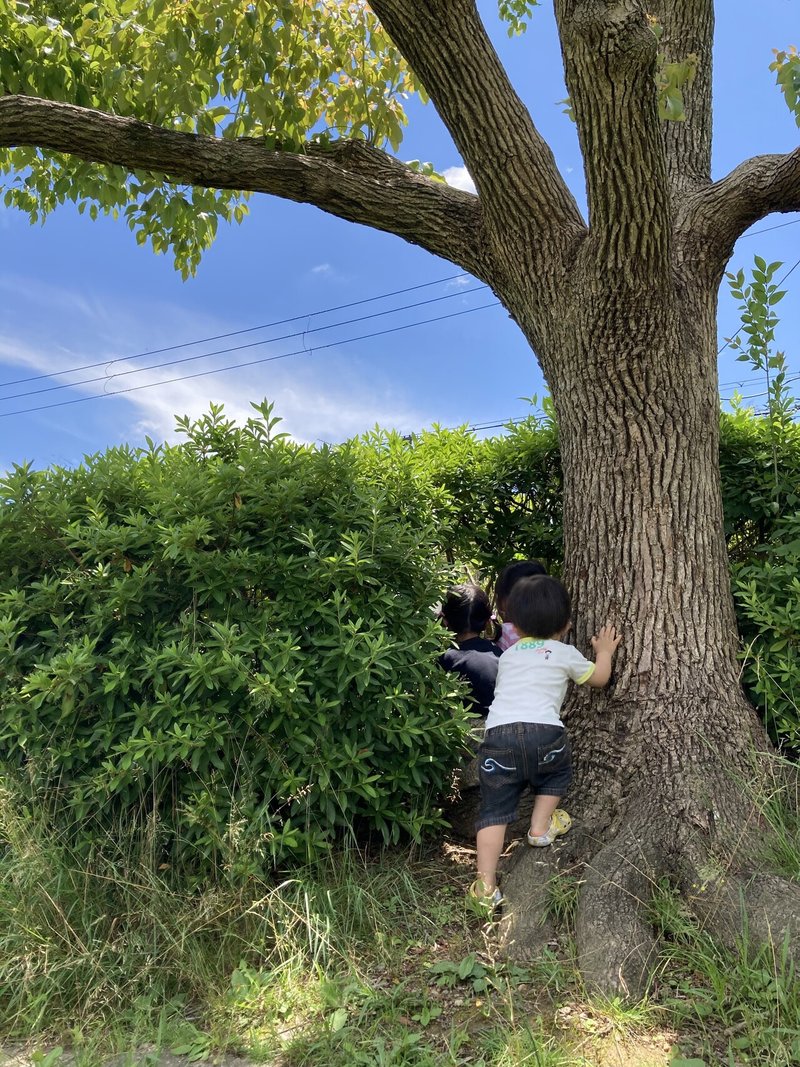 子どもに信用される大人が地球に増えていくといい 平田里菜 Note