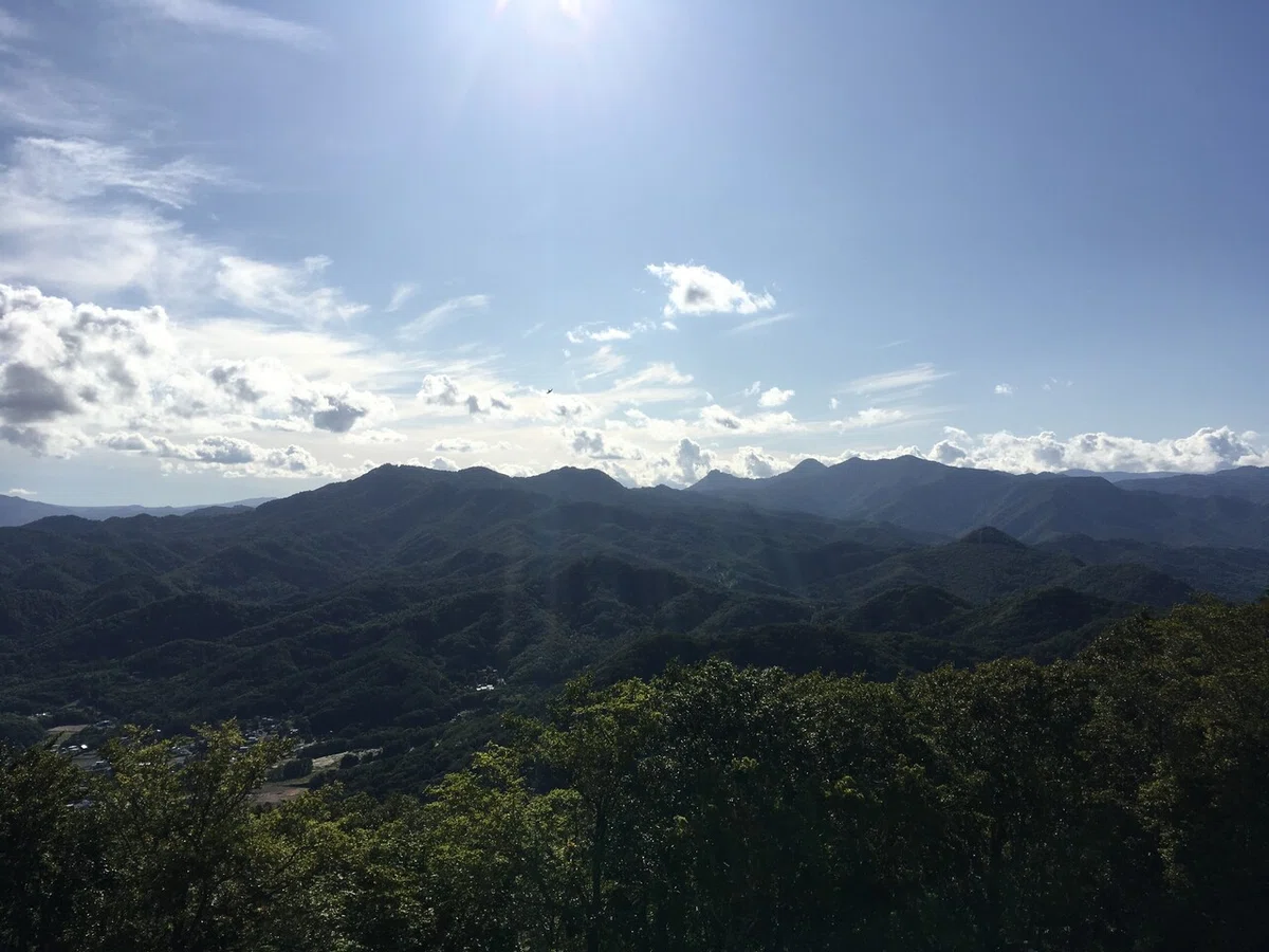 画像4