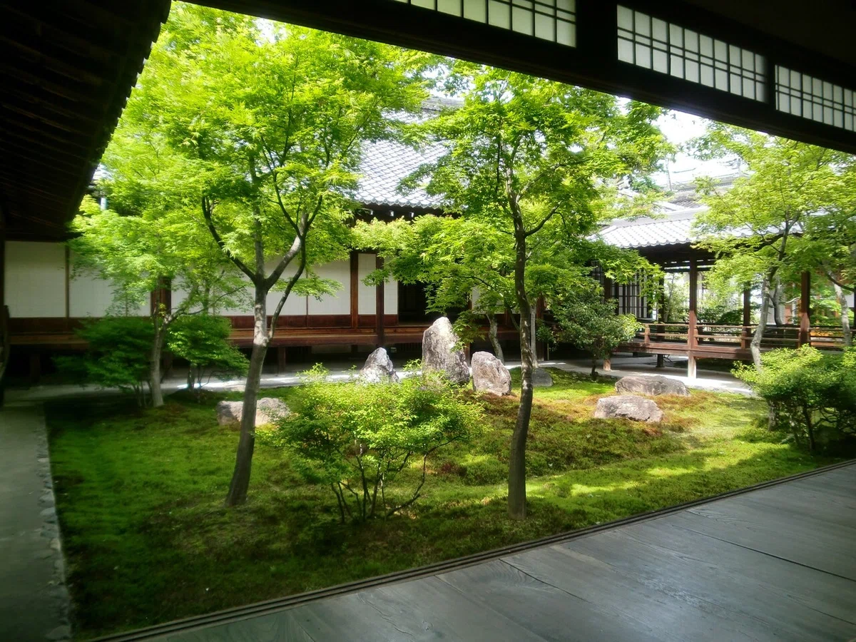 画像7