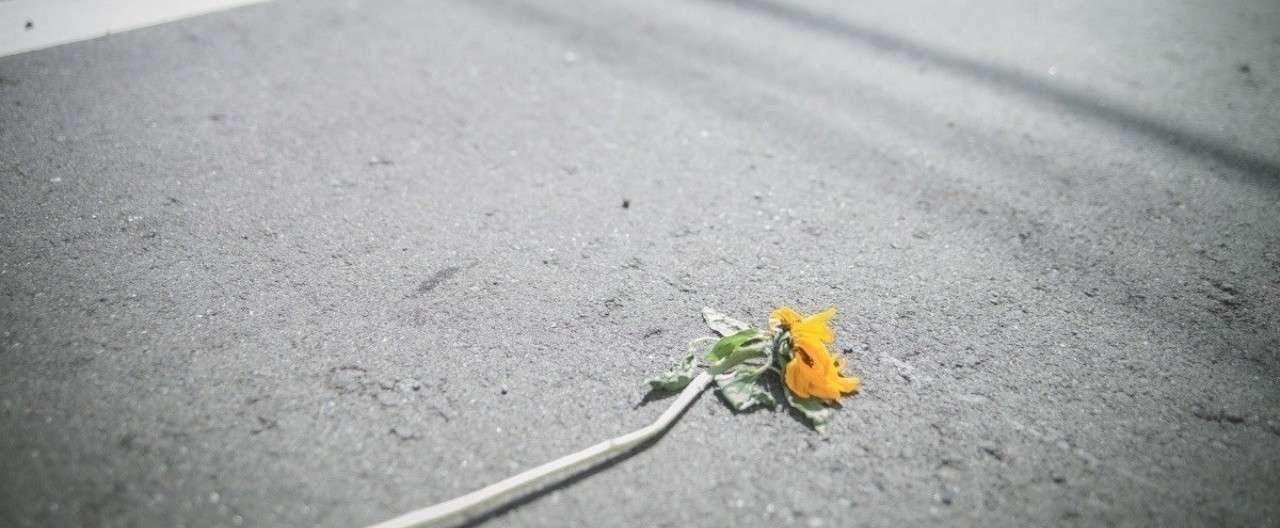 アウトサイダーたれ Dreamin Boowyの歌詞にみる仕事論 Sunakazu Note