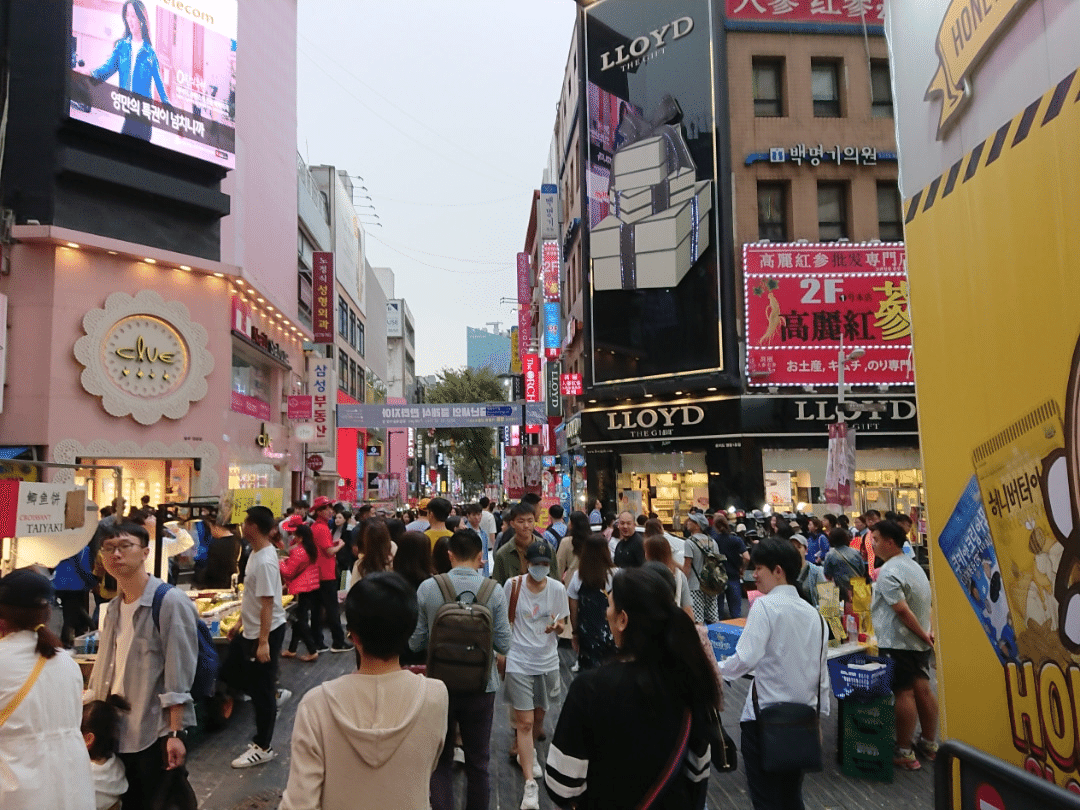 セール 明 洞 客引き パック