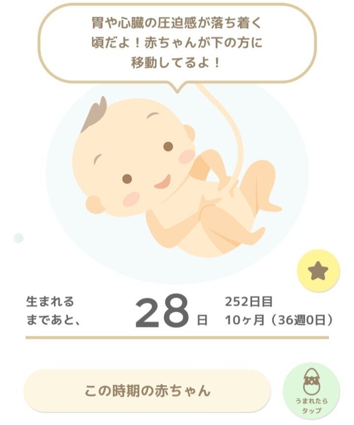 Last Month 36 41 Weeks Pregnant 臨月 妊娠３６週目 ４１週目 Ioppi Note