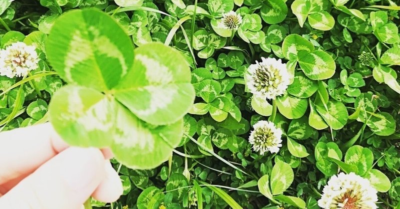 楽しいことないかなぁ の新着タグ記事一覧 Note つくる つながる とどける 楽しいことないかなぁ の新着タグ記事一覧 Note つくる つながる とどける