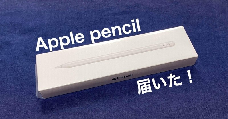Apple Pencilがやってきた！/感想とおすすめの設定
