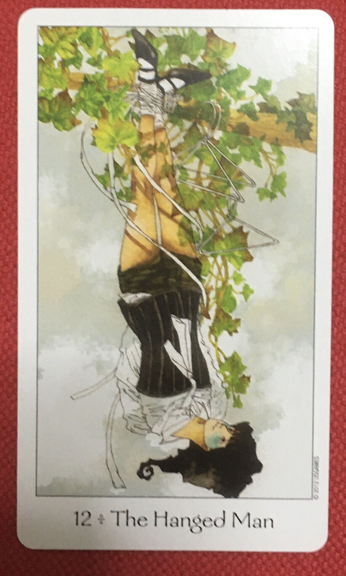 フォローしてくださる方が増えていて嬉しい驚きでした みなさん ありがとうございます 実は昨日から人間に絶望 したり地球 が少しめんどくさくなったり やさぐれているので D もう少しお待ちくださ ピングイーノ Note