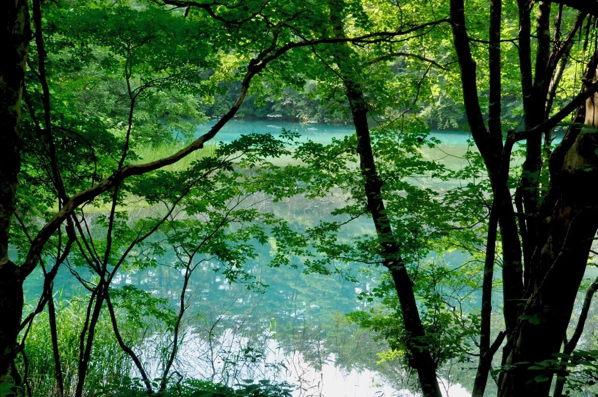 画像12