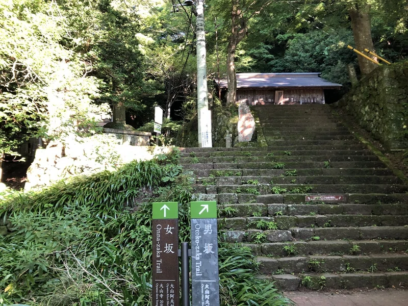 大山登山 酒匂川サイクリングロード 21 07 26 藤井崇史 ふじいたかし Eemo Rexev Note