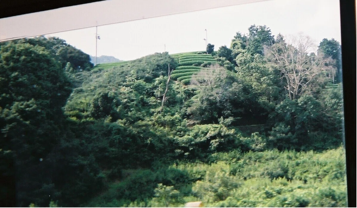 2017-08-21&nbsp;20.29.56-63窓からの景色