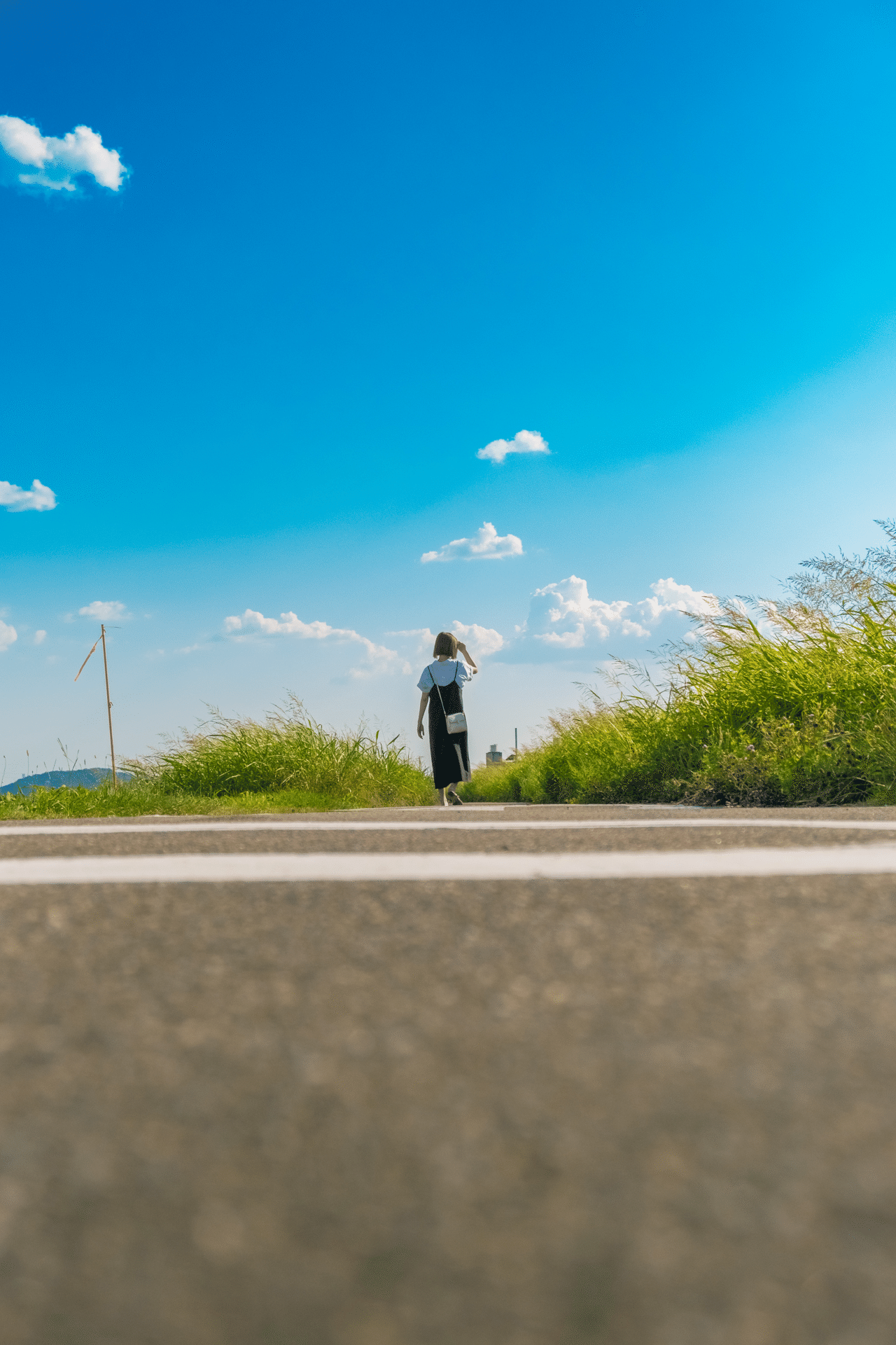 夏の概念 みわ Note 夏の概念 みわ Note