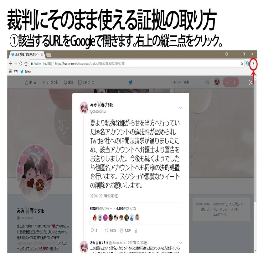 ネット上で嫌がらせを受けた時の証拠の取り方｜みみ(Anemone)