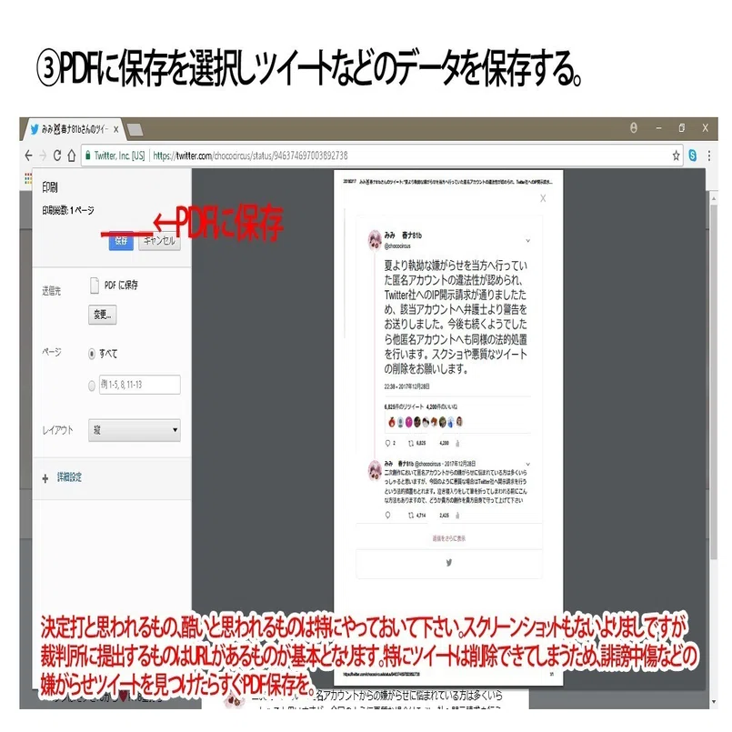ネット上で嫌がらせを受けた時の証拠の取り方｜みみ(Anemone)