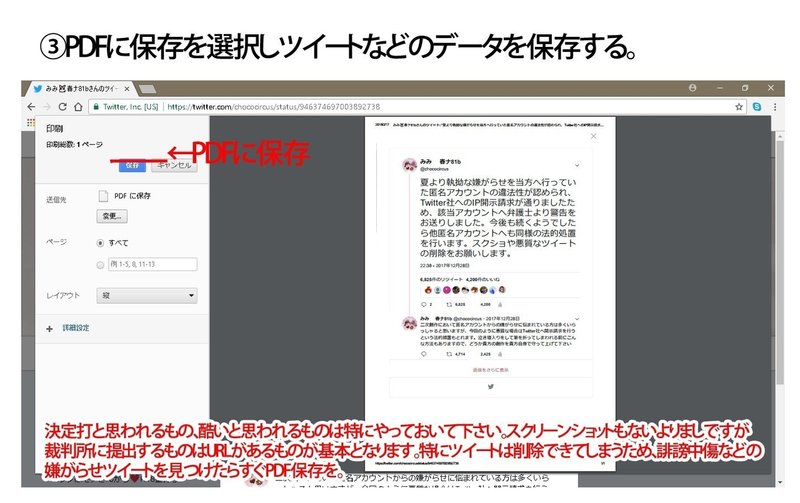 ネット上で嫌がらせを受けた時の証拠の取り方 みみ Anemone Note