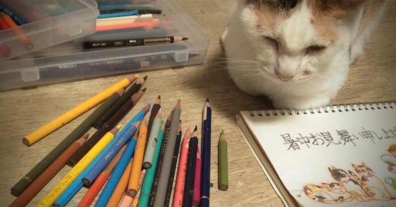 暑中見舞い申し上げにゃす の新着タグ記事一覧 Note つくる つながる とどける
