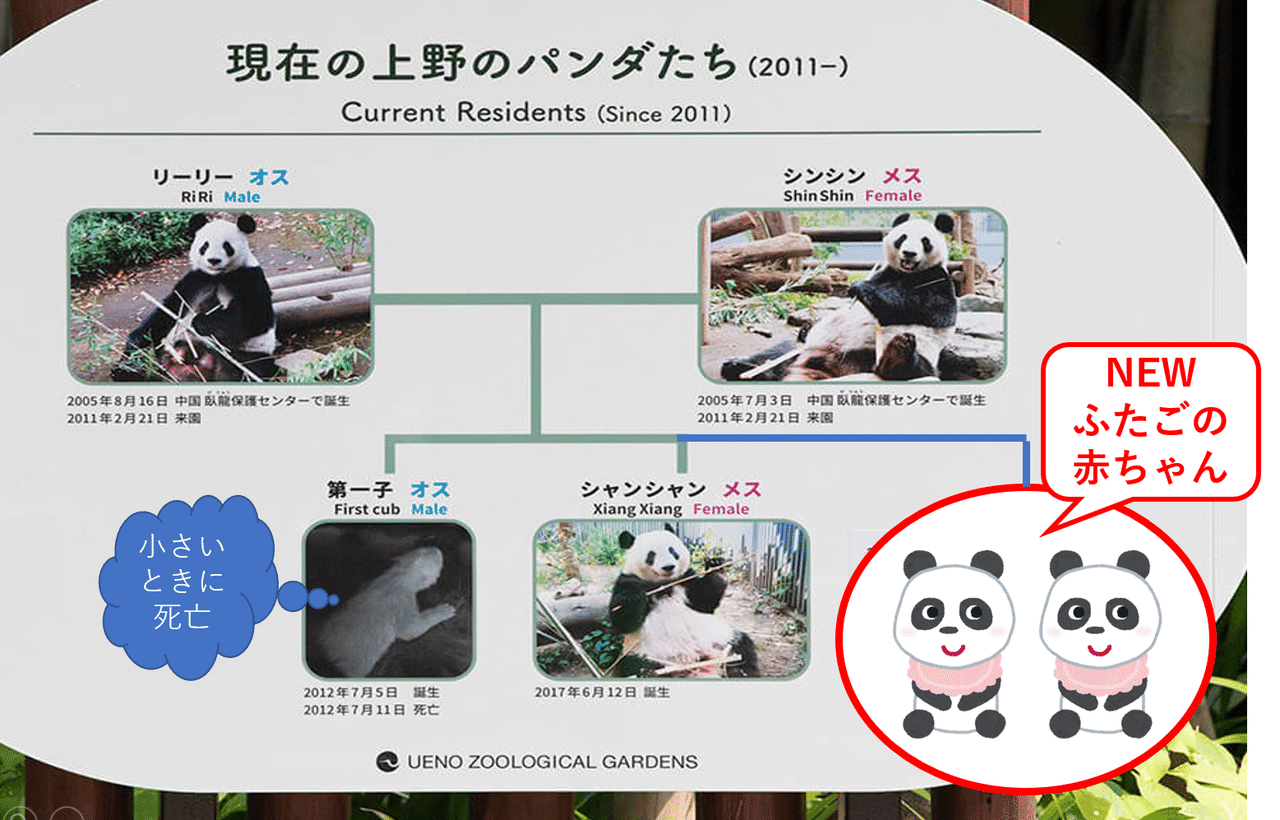 パンダの家系図 のイロイロから学ぶ 生前対策 のイロイロ 司法書士やまより ともえみ流 生前対策の人 Note
