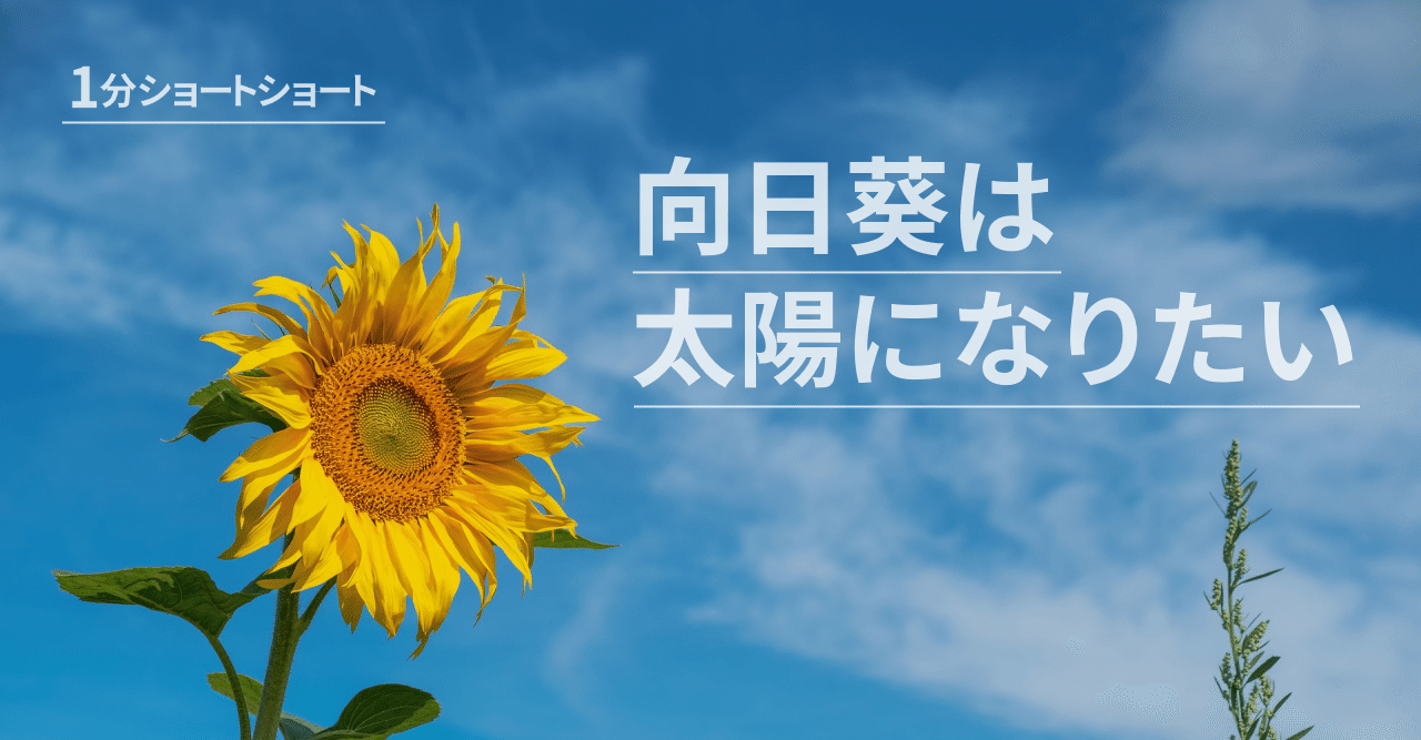 小説 向日葵は太陽になりたい 小牧幸助 ショートショート Note