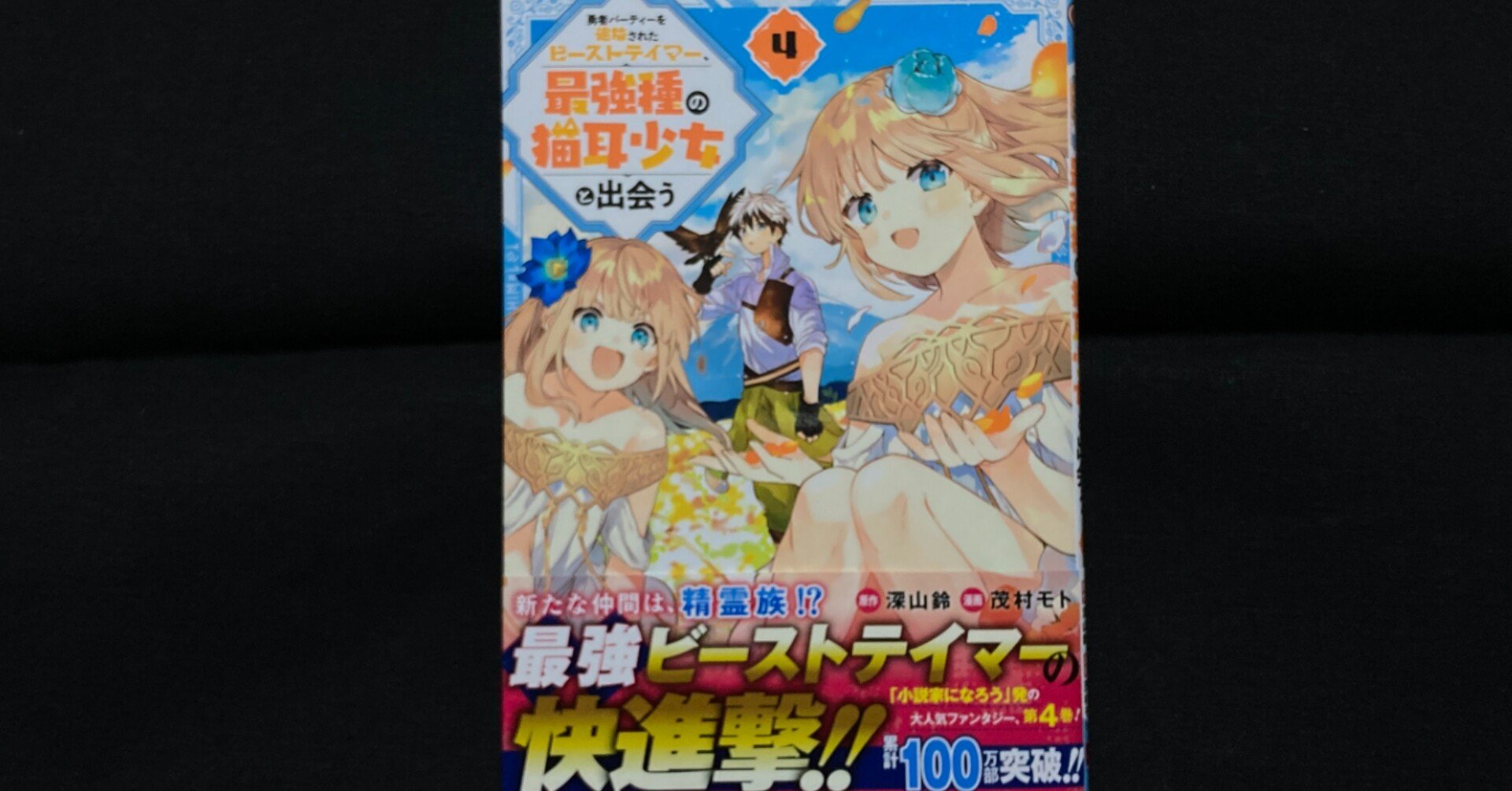 毎日読書感想文 勇者パーティーを追放されたビーストテイマー 最強種の猫耳少女と出会う 4 21 07 27 Vol370 Hakatamax Note