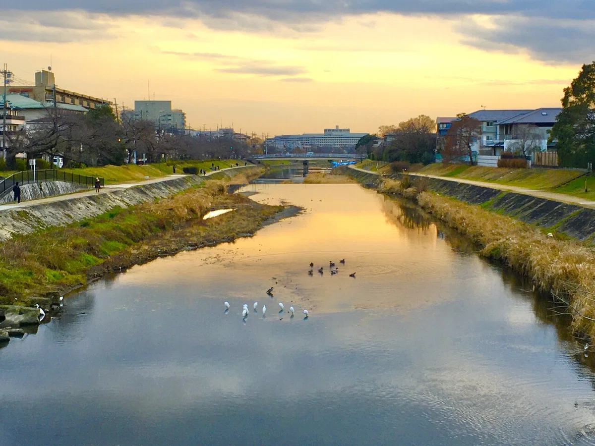画像12