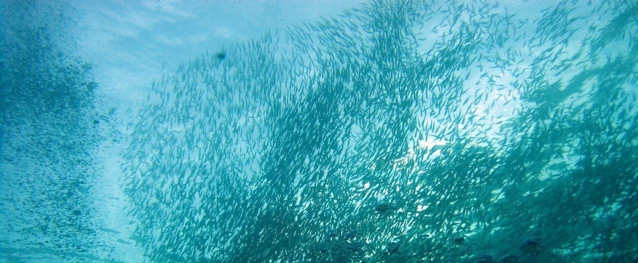 畏敬の念に打たれると社会に優しくなる Miat Note