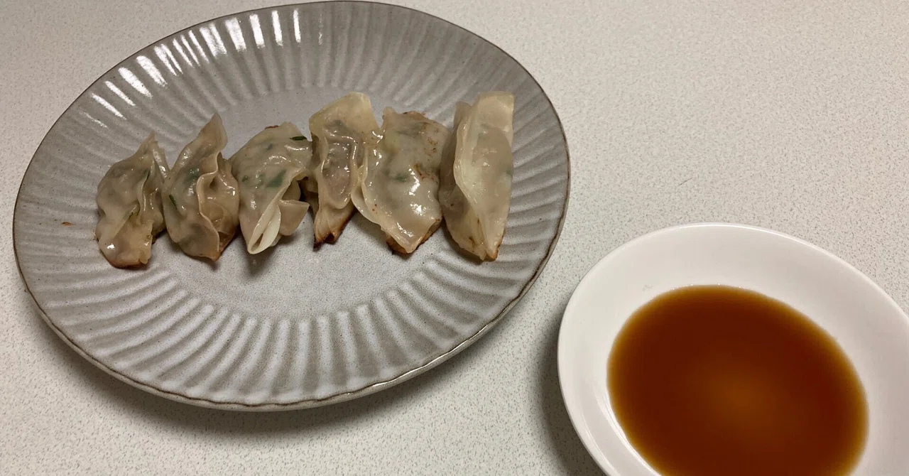 Making Gyoza｜JET