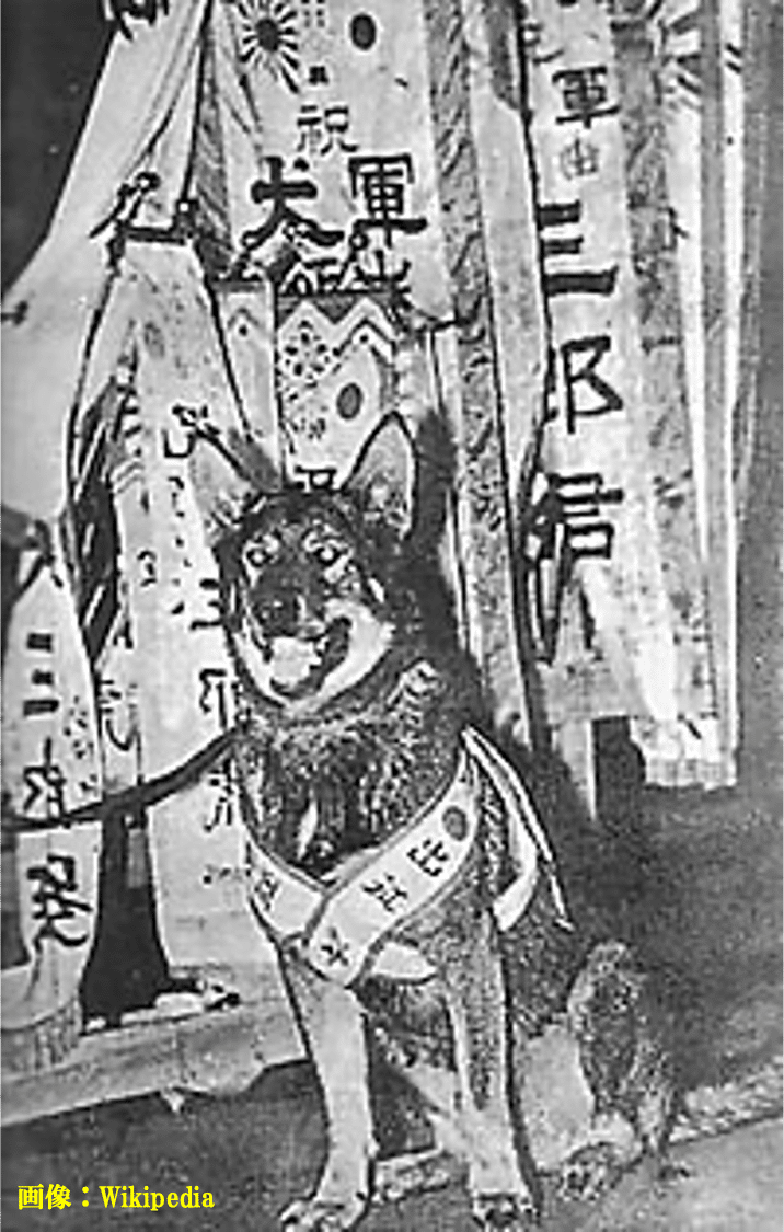 災害現場や軍事作戦等で活躍するワンちゃん達🐶｜🇯🇵元3等陸佐 Mr.K