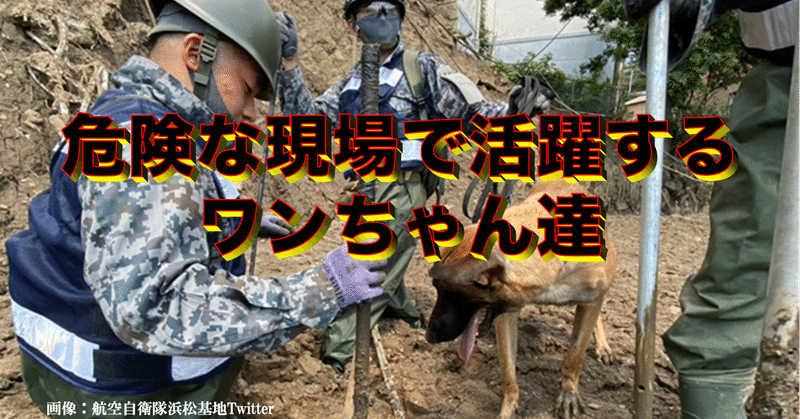 軍用犬 の新着タグ記事一覧 Note つくる つながる とどける 軍用犬 の新着タグ記事一覧 Note つくる つながる とどける