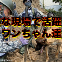 元陸自幹部自衛官が新隊員教育を振り返る（その２）】一般陸曹候補生教育の区隊長として『葛藤』の中で学んだこと｜🇯🇵元陸自隊員（元３等陸佐） Mr.k  | 初級／中級幹部育成サポーター🏳️‍🌈｜Note