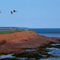 コンニチハ Sr400です Nadeshico バイク好きnoterが集うサークル ライダーズカフェnote 始めました Note