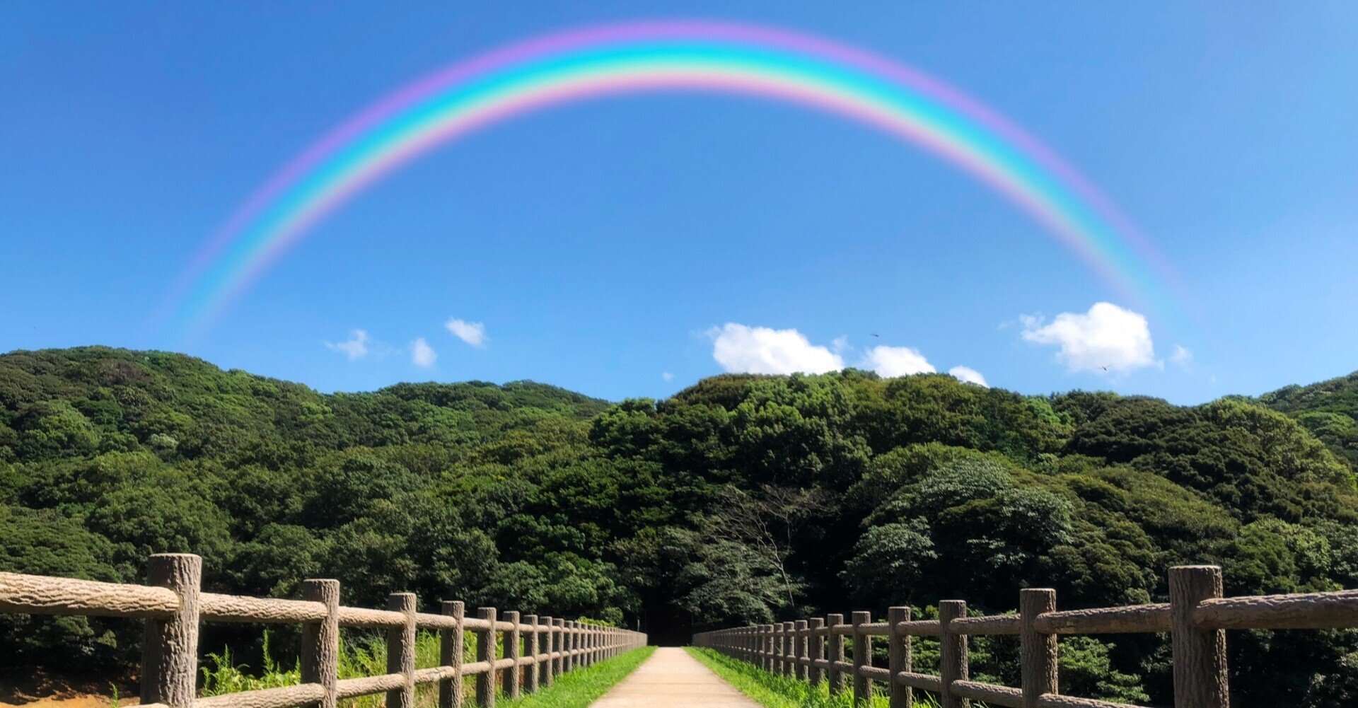 色々あった けど 今は とても幸せ キャリアパス Uja Note