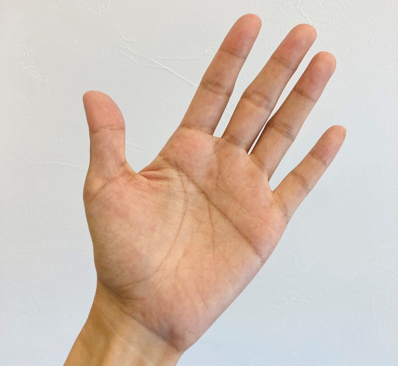 私の手相は ますかけ線 それがどうした ただの皺だ 中村 朱美 京都 佰食屋