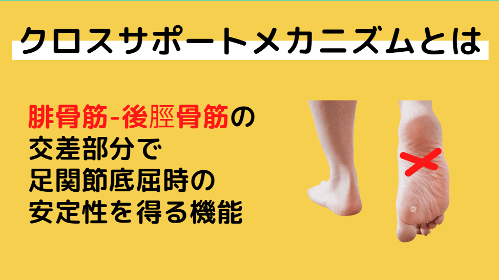 クロスサポートメカニズム Exerciseへの応用 佐藤 康 Note クロスサポートメカニズム Exerciseへの応用 佐藤 康 Note