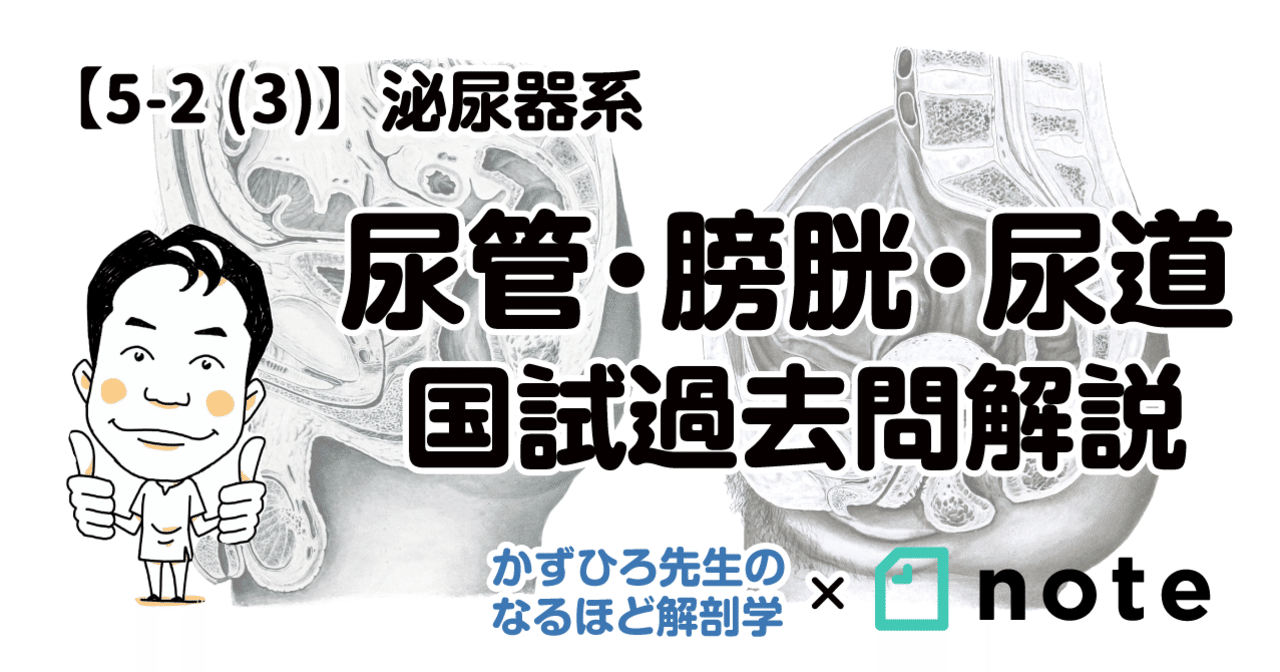 臨床泌尿器科 2025年 3月号 特集 シン・泌尿器科当直医