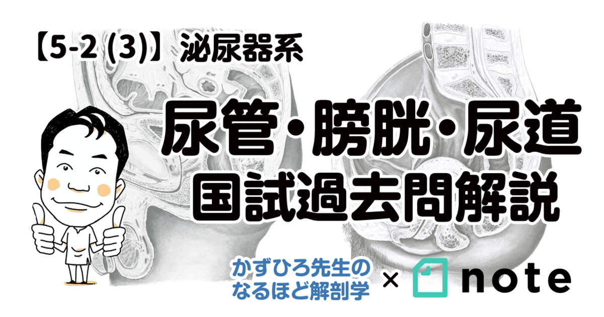 臨床泌尿器科 2025年 3月号 特集 シン・泌尿器科当直医