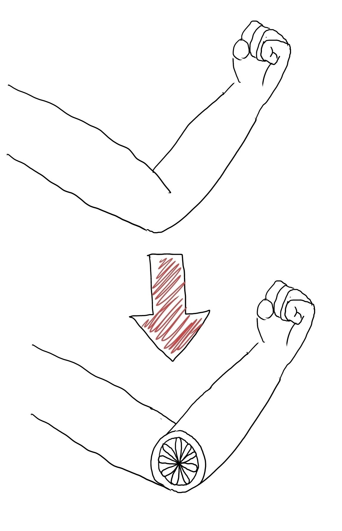僕は普段人を描く際 図の下のように腕とか足の関節部分を円で描きます 自分の個性として レモンの輪切り のようなイメージで描き始めたのですが 今日絵を描いていて これは見方によっては腕の断面図のようなグ Pajima Note 僕は普段人を描く際 図の下のように腕とか足の関節部分を円で描きます 自分の個性として レモンの輪切り のようなイメージで描き始めたのですが 今日絵を描いていて これは見方によっては腕の断面図のようなグ Pajima Note