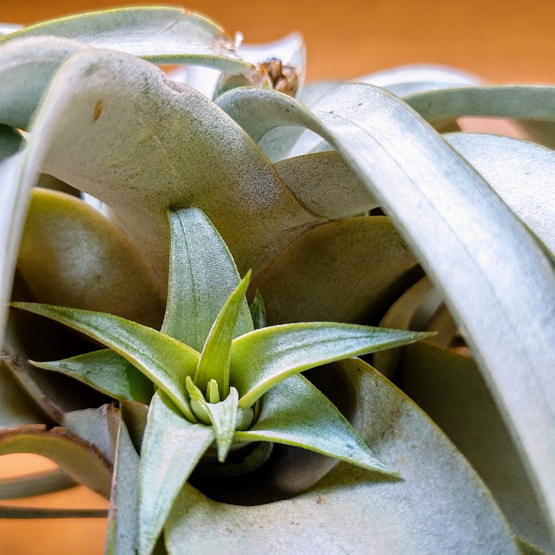 40e96cfd4a2bdbfcdefce45f8cd71d