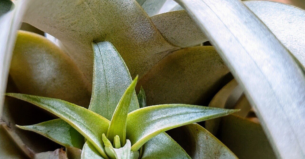 キセログラフィカの子株 ちーさん 手書き手帳が好き٩ 幸 幸 ۶ Note キセログラフィカの子株 ちーさん 手書き手帳が好き٩ 幸 幸 ۶ Note