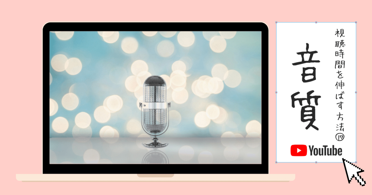 YouTube 用 撮影器具 リグ ライト ピンマイク