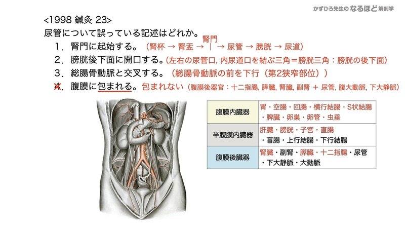 5 2 3 泌尿器系 尿管 膀胱 尿道 国試過去問解説 黒澤一弘 Note