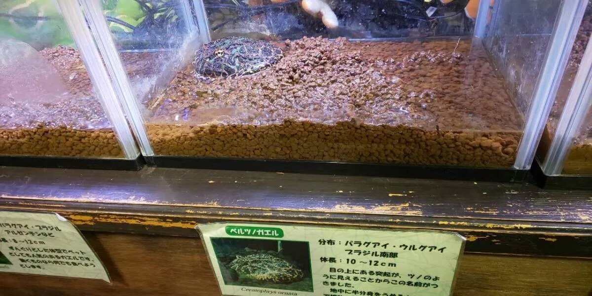 画像7