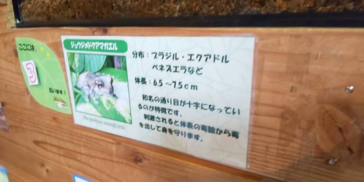 画像71