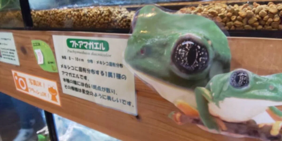 画像73