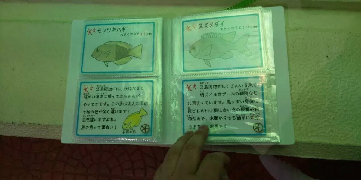 画像123