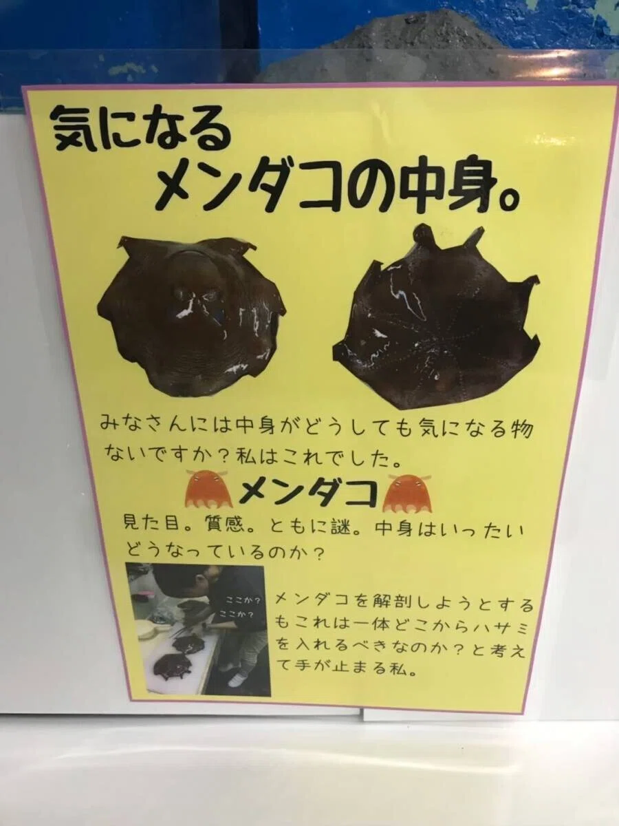 画像45